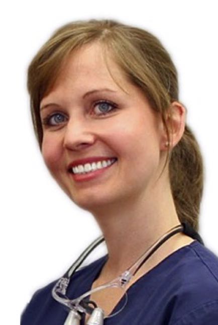 Dr. Martin Eder Teammitglieder Dr. Corinna Bayrle