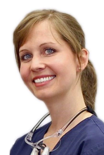 Dr. Martin Eder Teammitglieder Dr. Corinna Bayrle